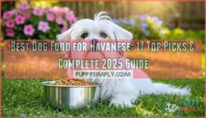best dog food for havanese
