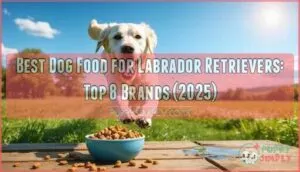best dog food for labrador retrievers