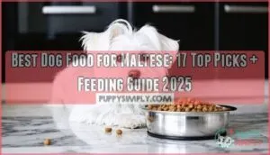 best dog food for maltese
