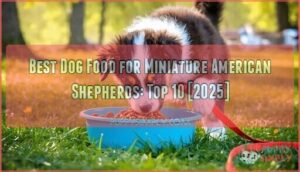 best dog food for miniature american shepherds