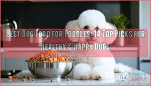 best dog food for poodles