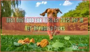 best dog food for vizslas