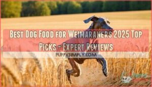 best dog food for weimaraners 2023 top picks