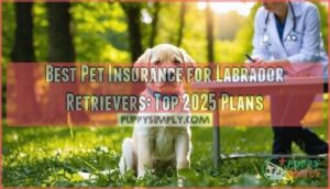 best pet insurance for labrador retrievers