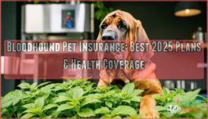 bloodhound pet insurance