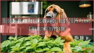 bloodhound pet insurance