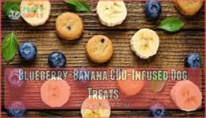 blueberry-banana cbd-infused dog treats