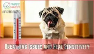 breathing issues and heat sensitivity