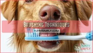 brushing techniques