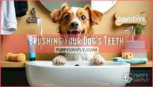 brushing your dog's teeth