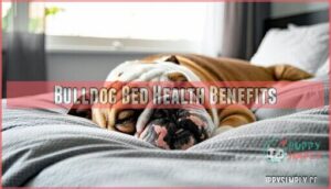 bulldog bed health benefits