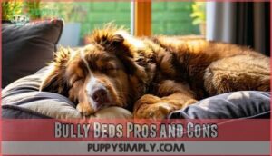 bully beds pros and cons