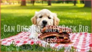 can dogs eat baby back rib bones
