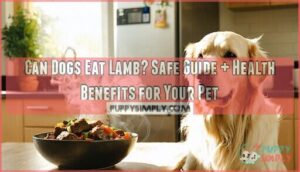 can dogs eat lamb