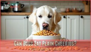 can dogs eat plain cheerios