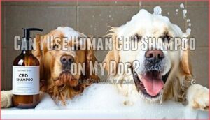 can i use human cbd shampoo on my dog