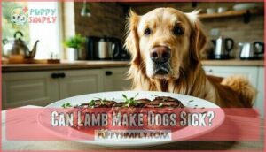 can lamb make dogs sick