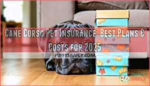 cane corso pet insurance