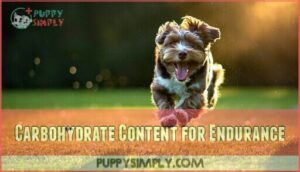 carbohydrate content for endurance