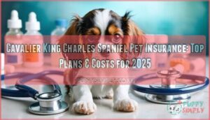 cavalier king charles spaniel pet insurance