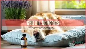 cbd oil benefits