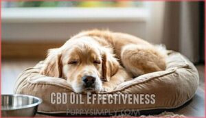 cbd oil effectiveness