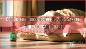 cbd oil for dogs
