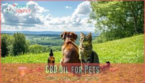 cbd oil for pets