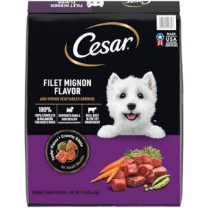 Cesar Small Breed Dry Dog B01MYW7B8N