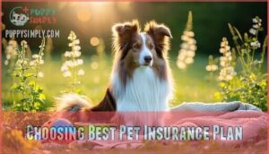 choosing best pet insurance plan