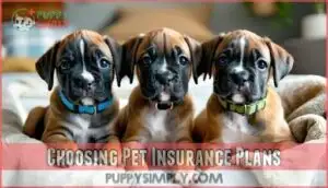 choosing pet insurance plans choosing pet insurance plans