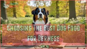 choosing the best dog food for bernese