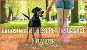 choosing the best pet insurance provider