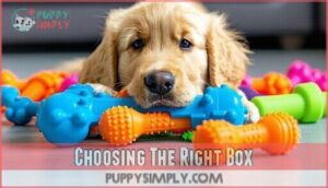 choosing the right box
