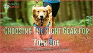 choosing the right gear for your dog