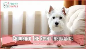 choosing the right insurance