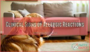 clinical signs of allergic reactions