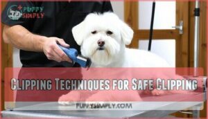 clipping techniques for safe clipping