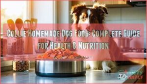 collie homemade dog food