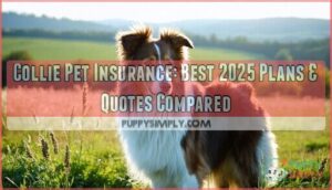 collie pet insurance