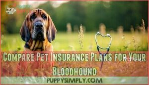 compare pet insurance plans for your bloodhound