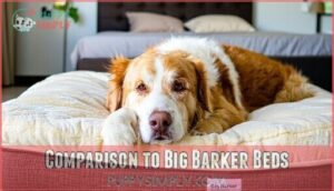 comparison to big barker beds