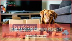 cons of super chewer barkbox