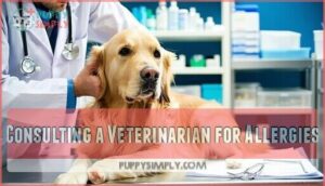 consulting a veterinarian for allergies
