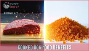 cooked dog food benefits