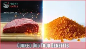cooked dog food benefits