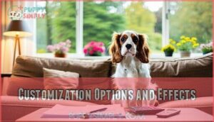 customization options and effects