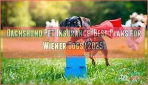 dachshund pet insurance