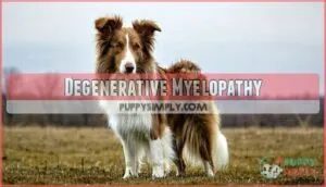 degenerative myelopathy