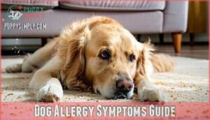 dog allergy symptoms guide